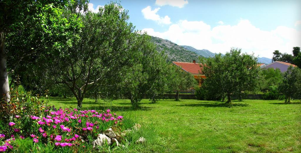 Apartments And Rooms Mare-Monti Starigrad Paklenica Buitenkant foto